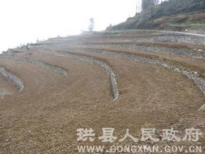 珙縣土地整理項目迎接市國土資源局初次評估驗收，為房地產(chǎn)開發(fā)奠定基礎(chǔ)