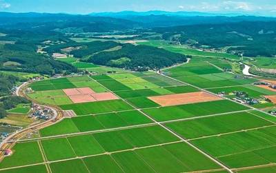 河北大力推進土地整理，釋放鄉村發展新空間，看看有你家嗎？