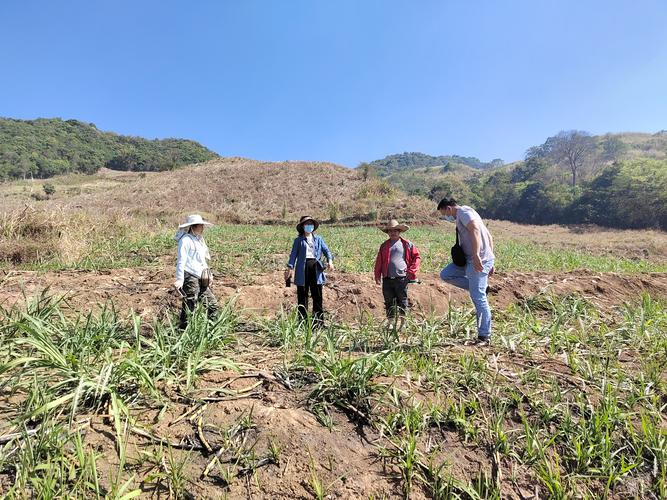 云南田野調查初體驗 探索未知的興奮與收獲中的土地整理