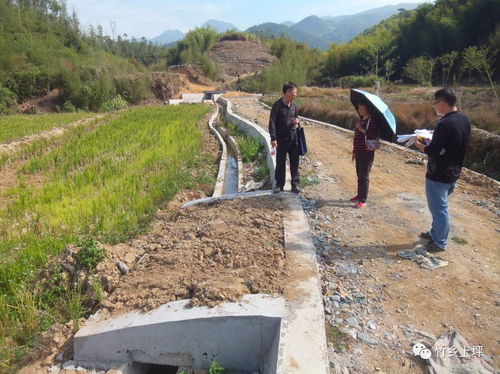 上坪鄉 土地整“活”，房產“開”新局——扎實推進土地整理與房地產開發協同發展